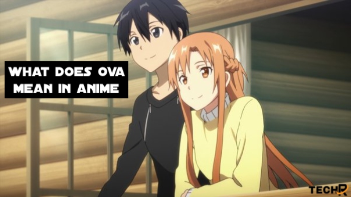 what does ova mean in anime