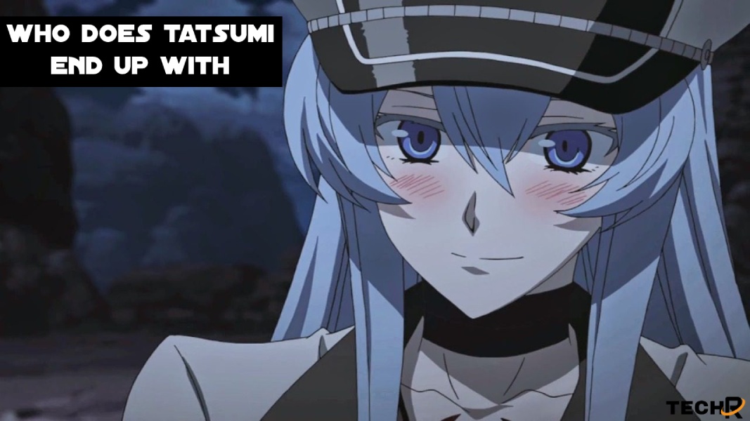 Who Does Tatsumi End Up with In Akame Ga Kill