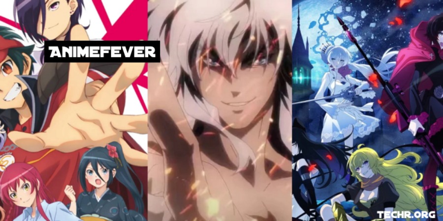Top 47 Best Animefever Alternatives To Watch Free Anime