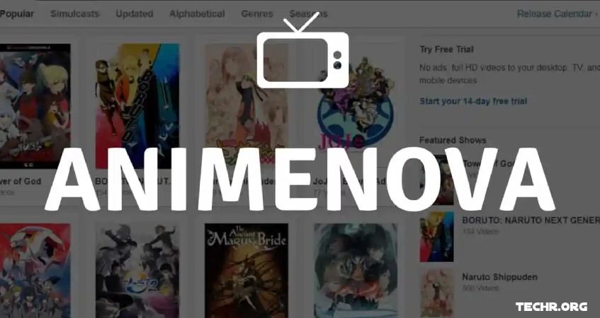 Top 47 Best Animenova Alternatives For Streaming Free Anime Online